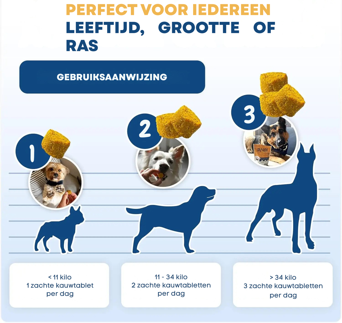 BeweegBlij