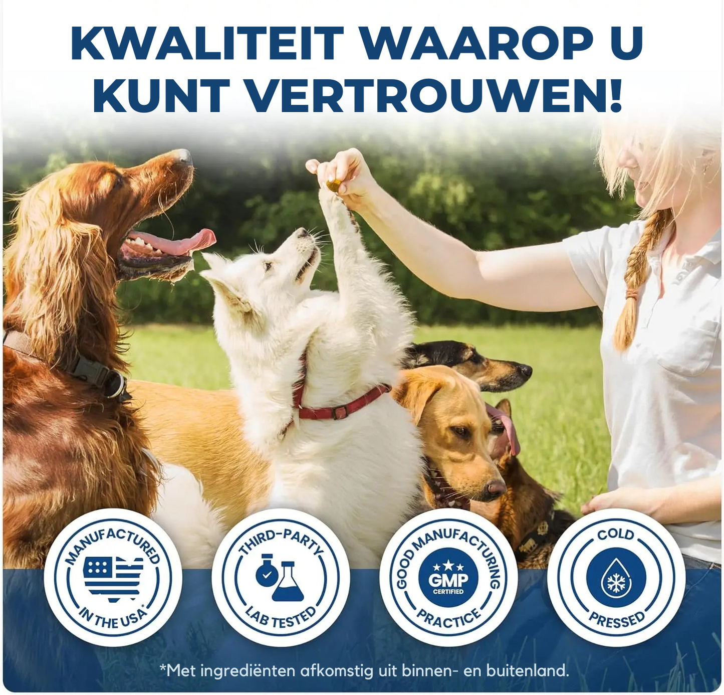 BeweegBlij
