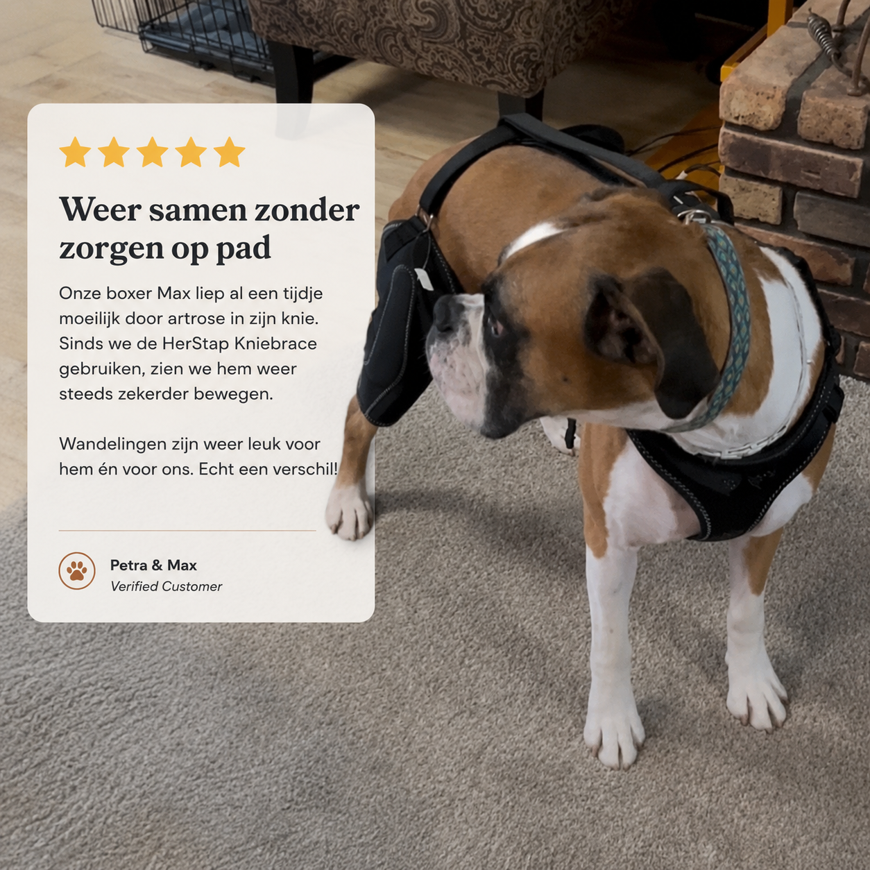 HerStap Kniebrace voor Honden
