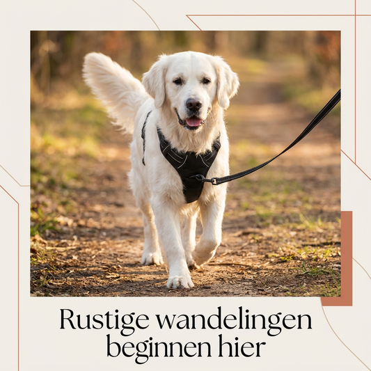 TrekVrij  Premium Anti-Trektuig
