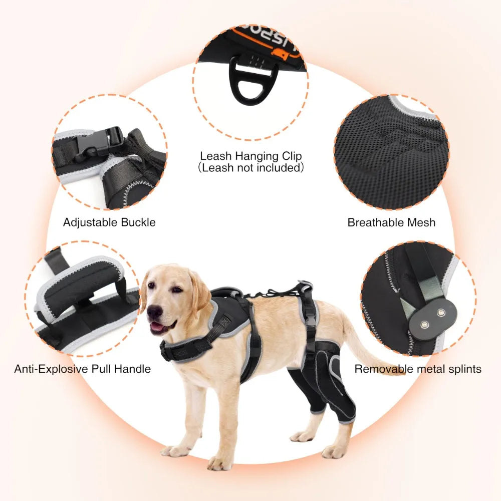 HerStap Kniebrace voor Honden