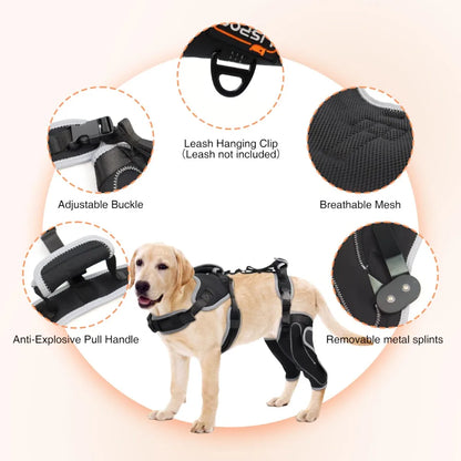 HerStap Kniebrace voor Honden