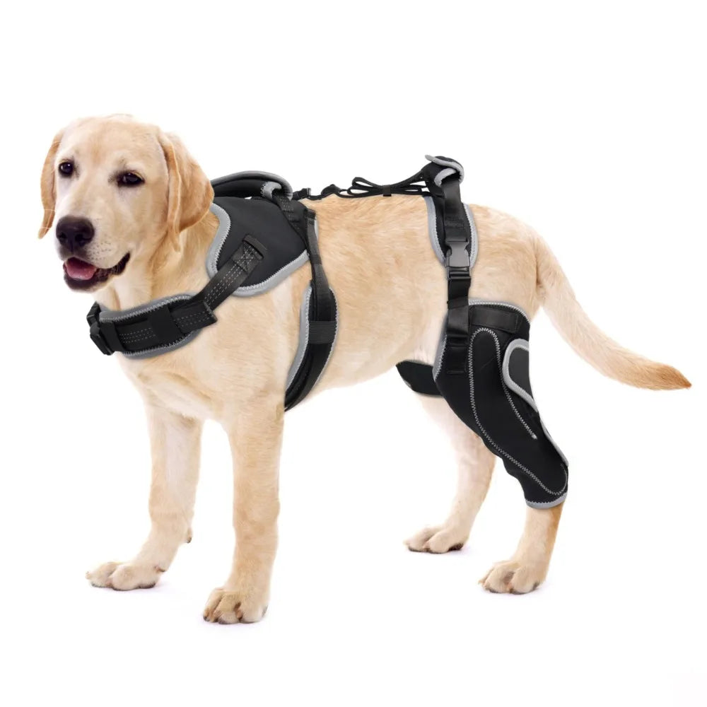 HerStap Kniebrace voor Honden