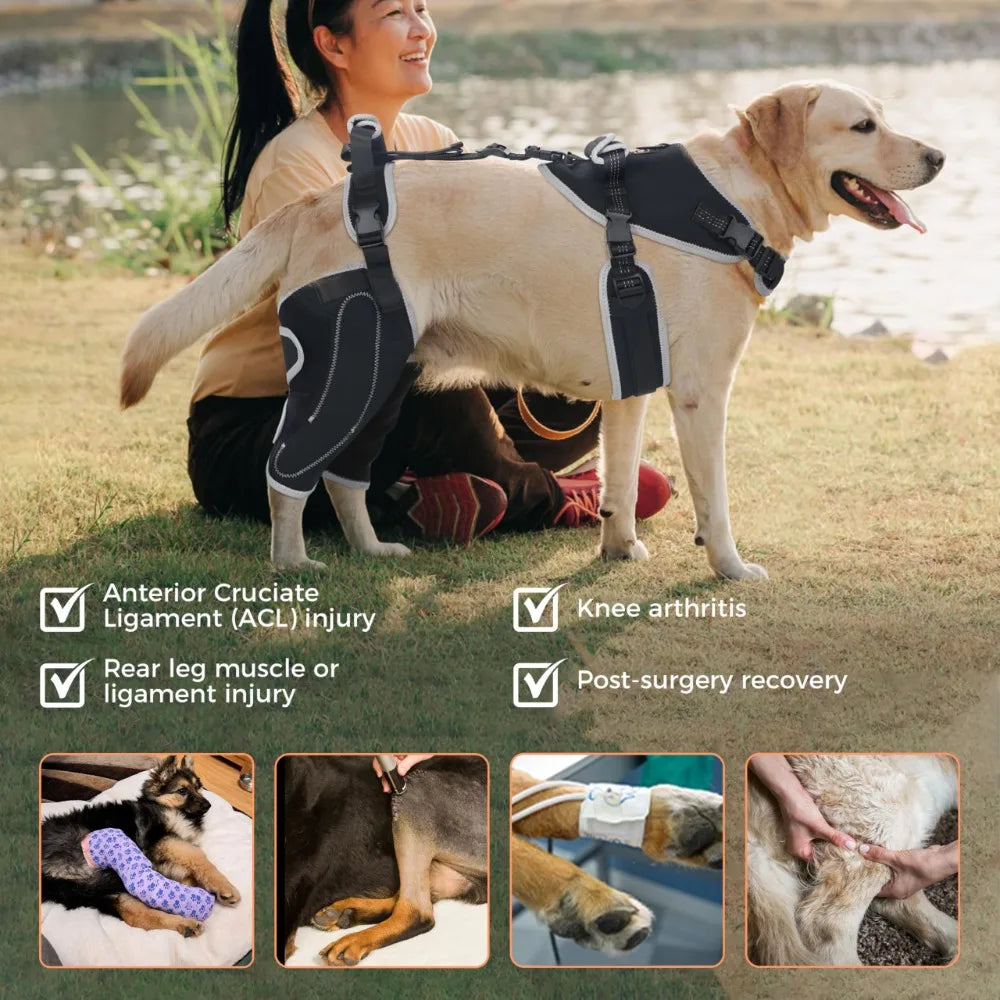 HerStap Kniebrace voor Honden
