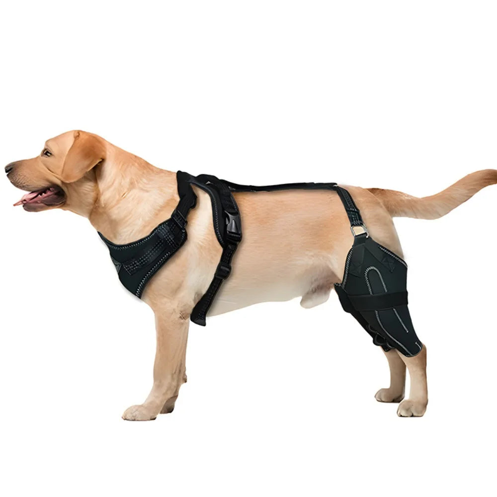 HerStap Kniebrace voor Honden