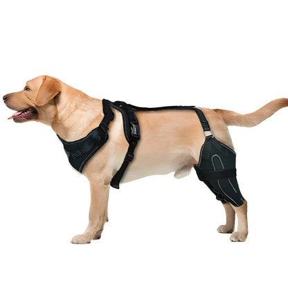 HerStap Kniebrace voor Honden
