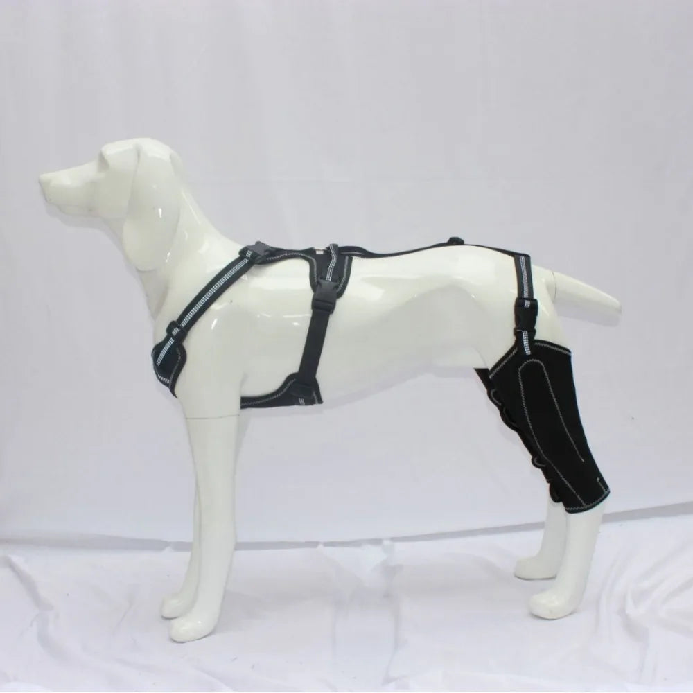 HerStap Kniebrace voor Honden
