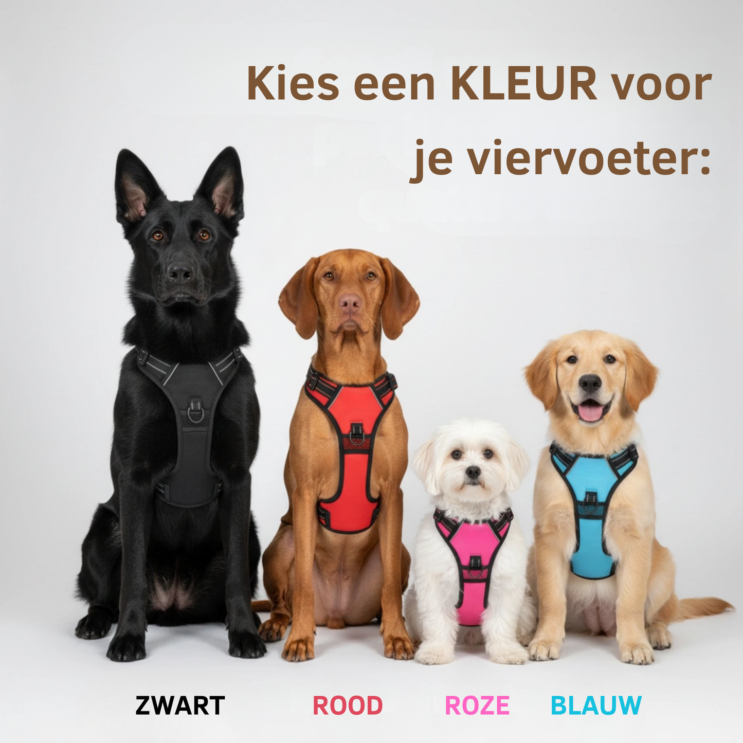 TrekVrij  Premium Anti-Trektuig